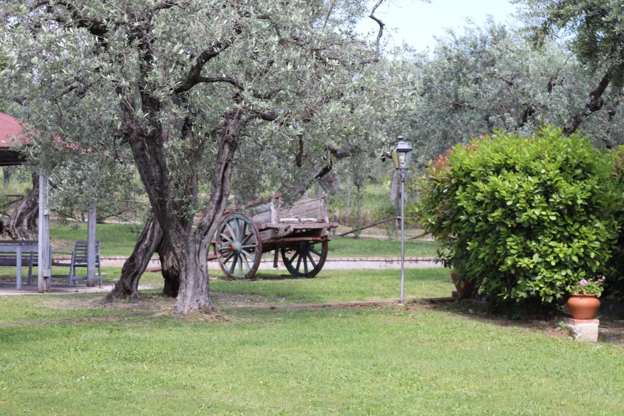 הוילה Nerola Agriturismo Il Bagolaro מראה חיצוני תמונה