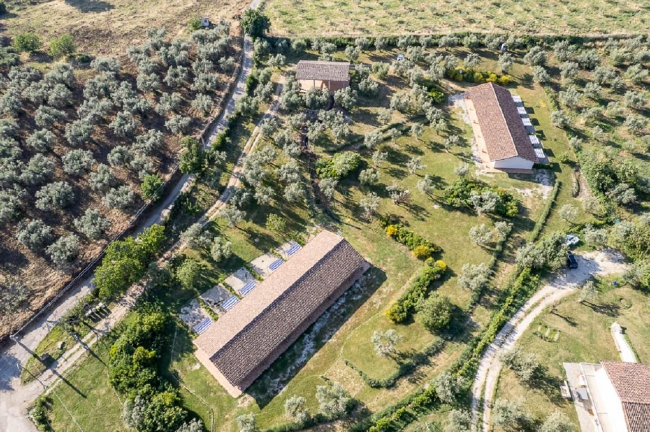 הוילה Nerola Agriturismo Il Bagolaro מראה חיצוני תמונה